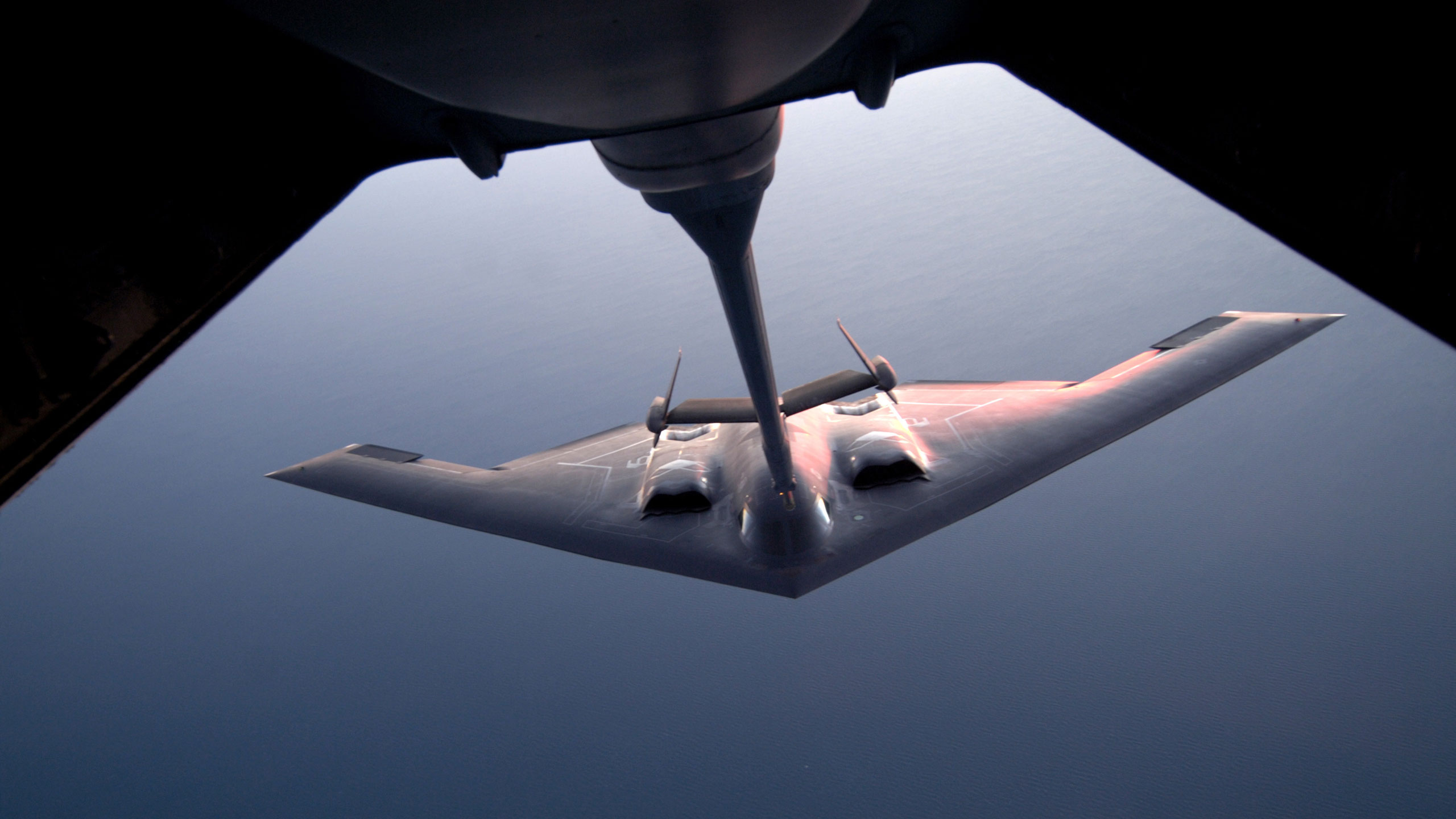 Information Technology, Web Services, Application Development